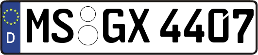 MS-GX4407
