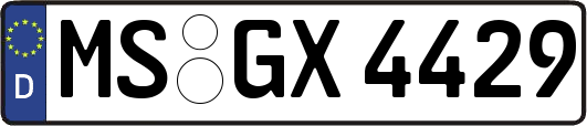 MS-GX4429