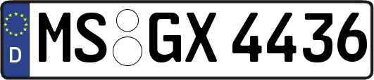 MS-GX4436
