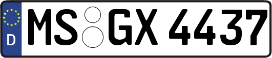 MS-GX4437