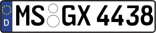 MS-GX4438