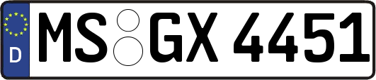 MS-GX4451