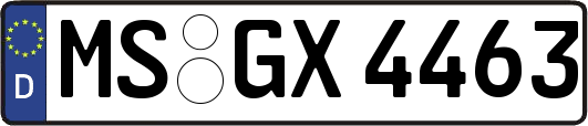 MS-GX4463