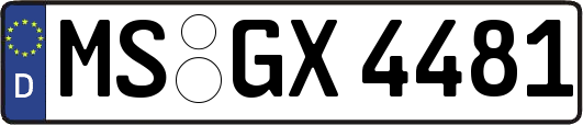 MS-GX4481