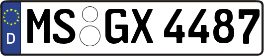 MS-GX4487