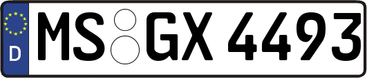 MS-GX4493