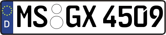 MS-GX4509