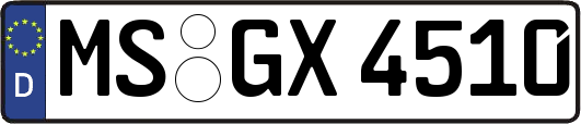 MS-GX4510