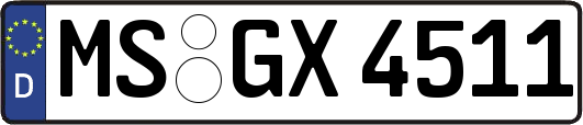 MS-GX4511