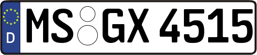 MS-GX4515
