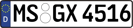 MS-GX4516