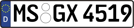 MS-GX4519