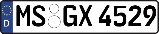 MS-GX4529