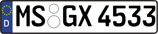 MS-GX4533