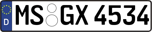 MS-GX4534