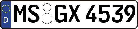 MS-GX4539