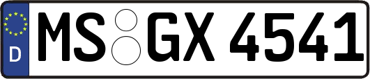 MS-GX4541