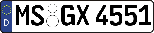 MS-GX4551