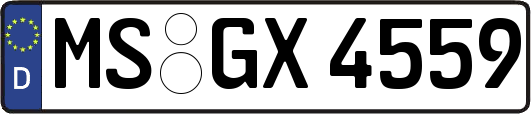 MS-GX4559