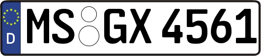 MS-GX4561