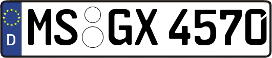 MS-GX4570