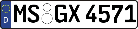 MS-GX4571