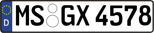 MS-GX4578