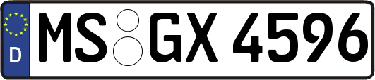 MS-GX4596