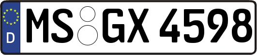 MS-GX4598
