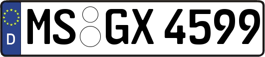 MS-GX4599