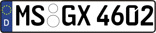 MS-GX4602