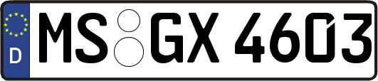 MS-GX4603