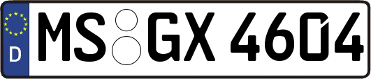 MS-GX4604