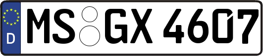 MS-GX4607