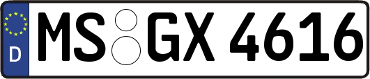 MS-GX4616