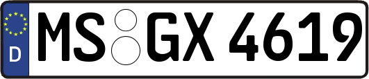 MS-GX4619