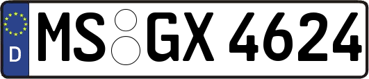 MS-GX4624