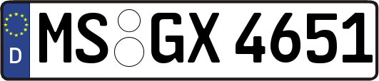 MS-GX4651