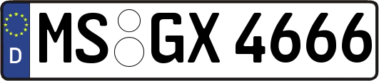 MS-GX4666
