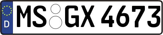 MS-GX4673