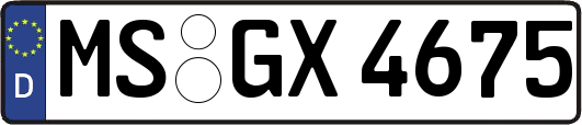 MS-GX4675