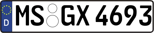 MS-GX4693