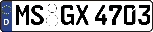 MS-GX4703