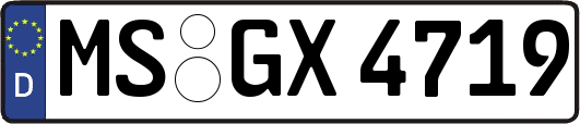 MS-GX4719
