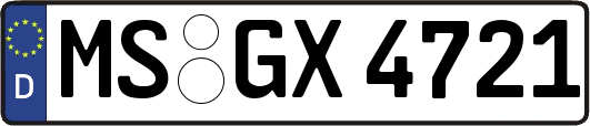 MS-GX4721