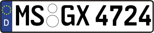 MS-GX4724