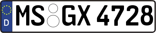 MS-GX4728
