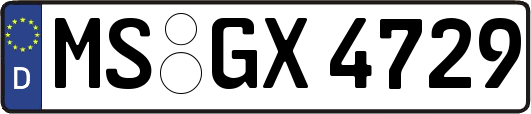 MS-GX4729