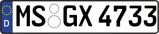 MS-GX4733