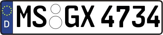 MS-GX4734